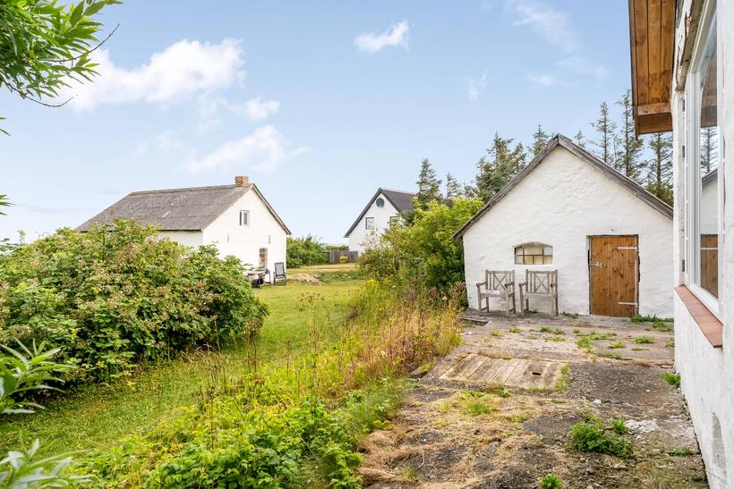 Foto von Ferienhaus UY96 in Lendrup - Thy/Limfjord