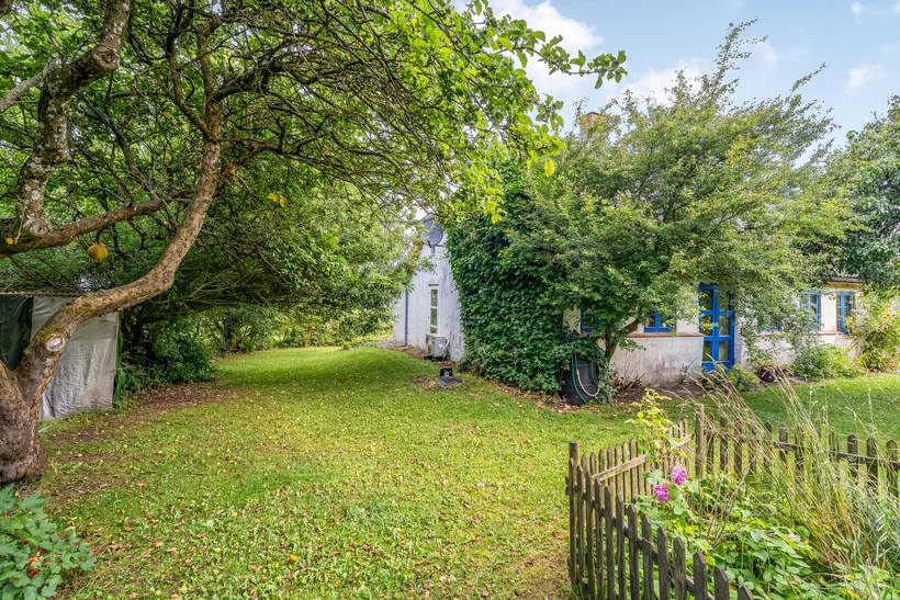 Foto von Ferienhaus UY96 in Lendrup - Thy/Limfjord
