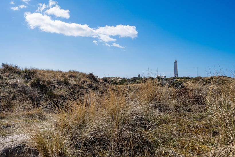 Foto von Ferienhaus UZ08 in Blåvand - Westjütland