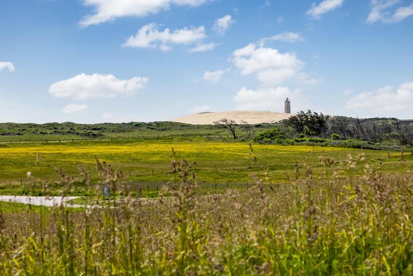 Foto von Ferienhaus UZ82 in Lønstrup - Nordjütland
