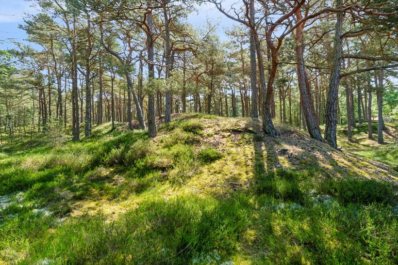 Foto von Ferienhaus VA46 in Dueodde - Bornholm