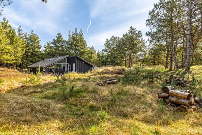 Foto von Ferienhaus VA58 in Bolilmark - Rømø