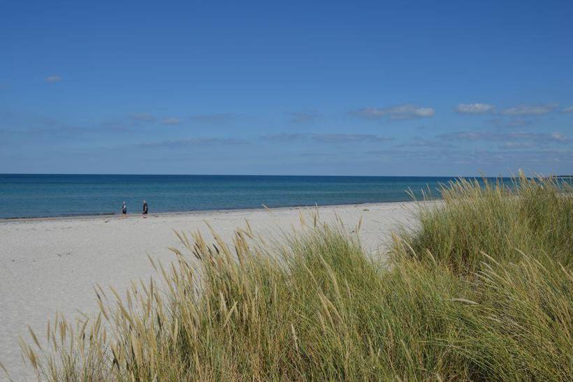 Foto von Ferienhaus VA72 in Skærby - Rørvig - Westseeland