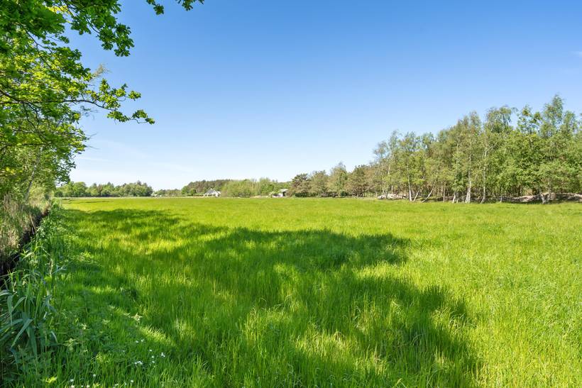 Foto von Ferienhaus VA85 in Vesterø - Læsø