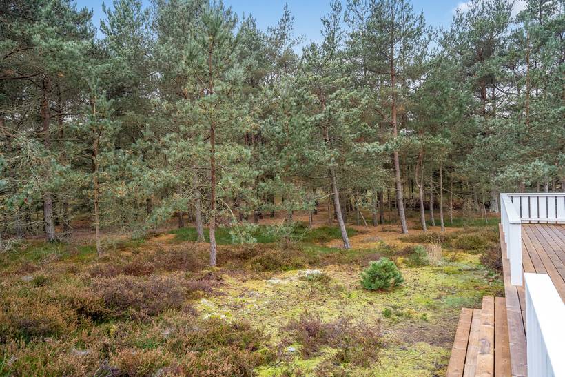 Foto von Ferienhaus VB61 in Østerby - Læsø