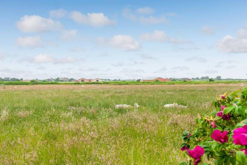 Foto von Ferienhaus VB66 in Mandø - Südjütland