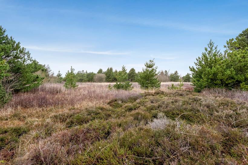 Foto von Ferienhaus VB72 in Kongsmark - Rømø