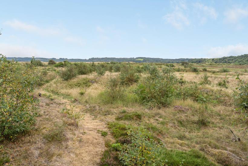 Foto von Ferienhaus VC23 in Slettestrand - Nordjütland