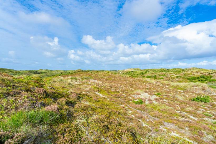 Foto von Ferienhaus VC44 in Henne Strand - Westjütland