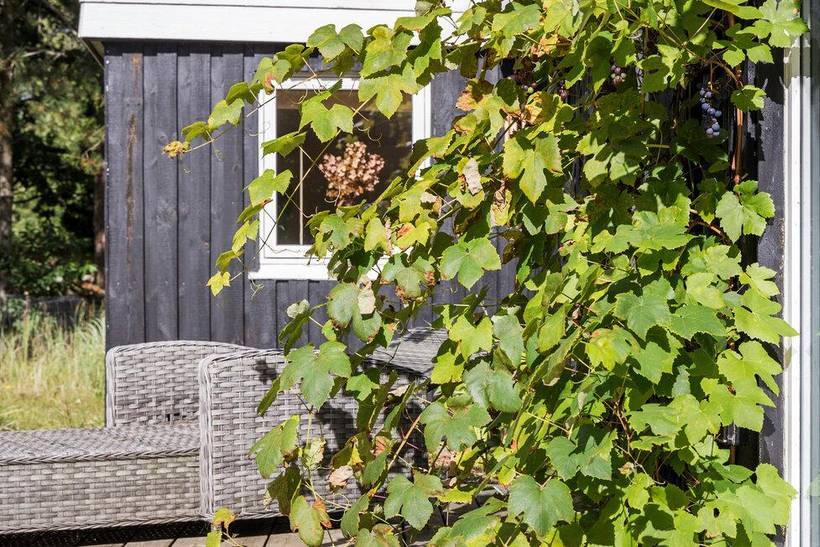 Foto von Ferienhaus VC63 in Lyngså - Nordjütland Ost