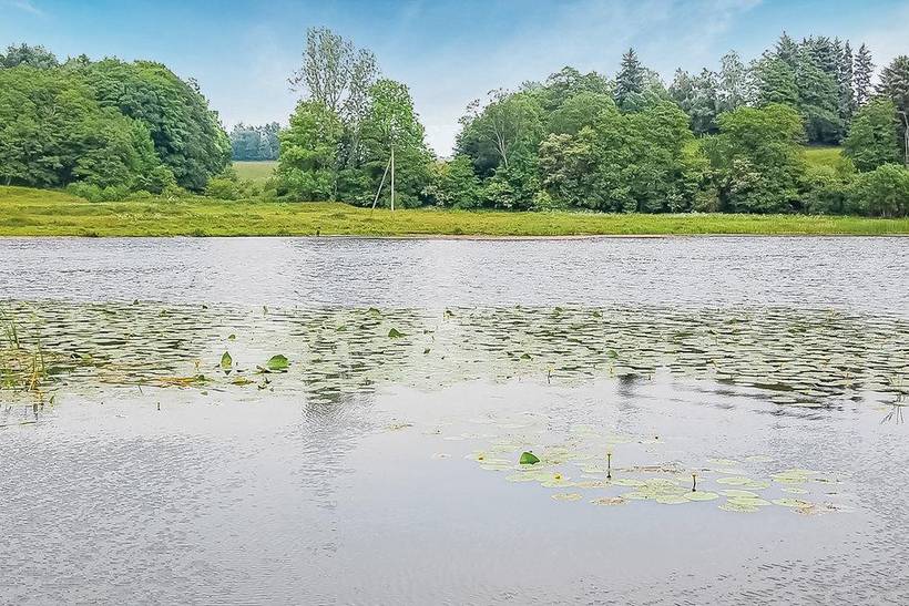 Foto von Ferienhaus VD14 in Egtved - Ostjütland