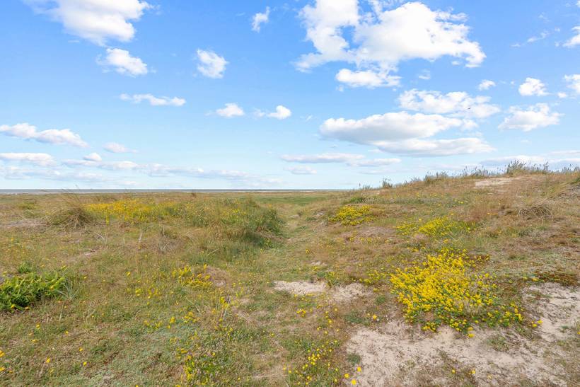Foto von Ferienhaus VD71 in Fanø Bad - Fanø