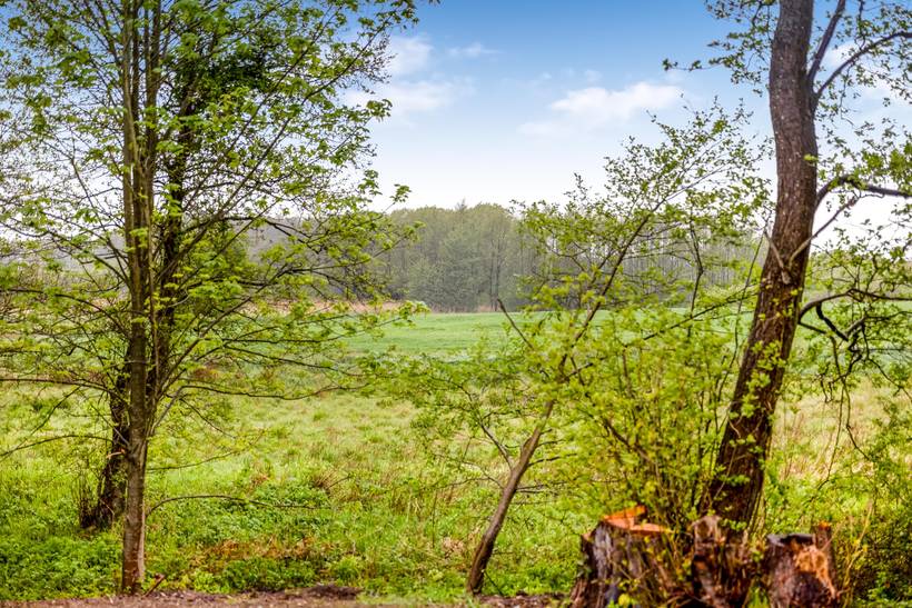Foto von Ferienhaus VD83 in Flovt - Südjütland