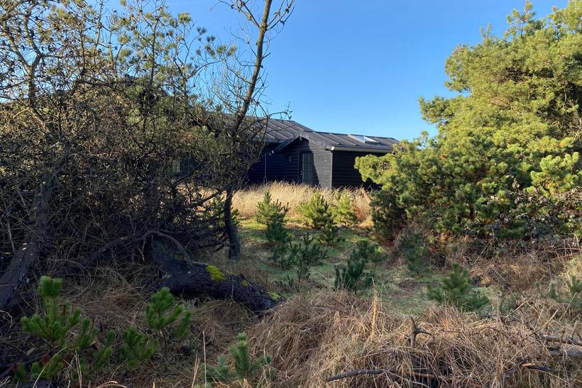 Foto von Ferienhaus VE13 in Henne Strand - Westjütland