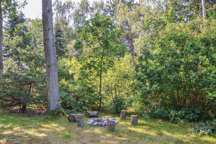 Foto von Ferienhaus VE28 in Udsholt - Rågeleje - Nordseeland