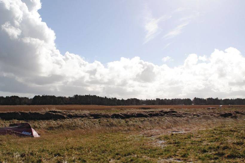 Foto von Ferienhaus VE49 in Sejerø Bugt - Westseeland