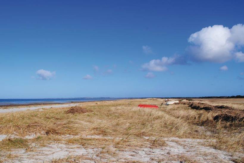 Foto von Ferienhaus VE49 in Sejerø Bugt - Westseeland