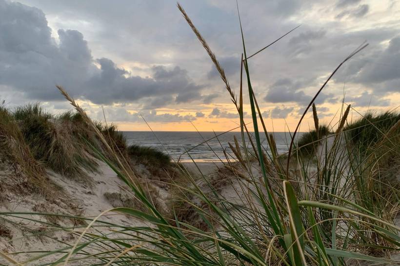 Foto von Ferienhaus VE77 in Vejers Strand - Westjütland