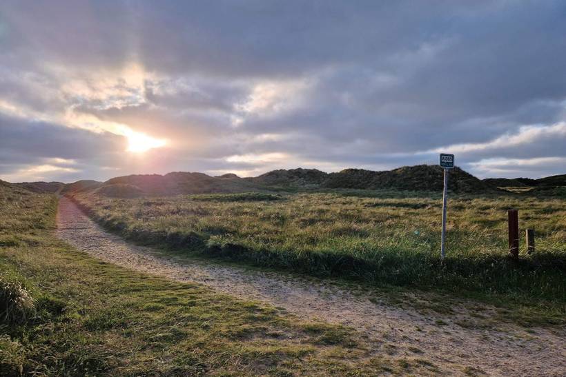 Foto von Ferienhaus VE77 in Vejers Strand - Westjütland