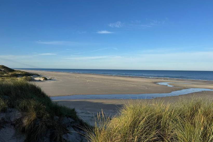 Foto von Ferienhaus VE77 in Vejers Strand - Westjütland