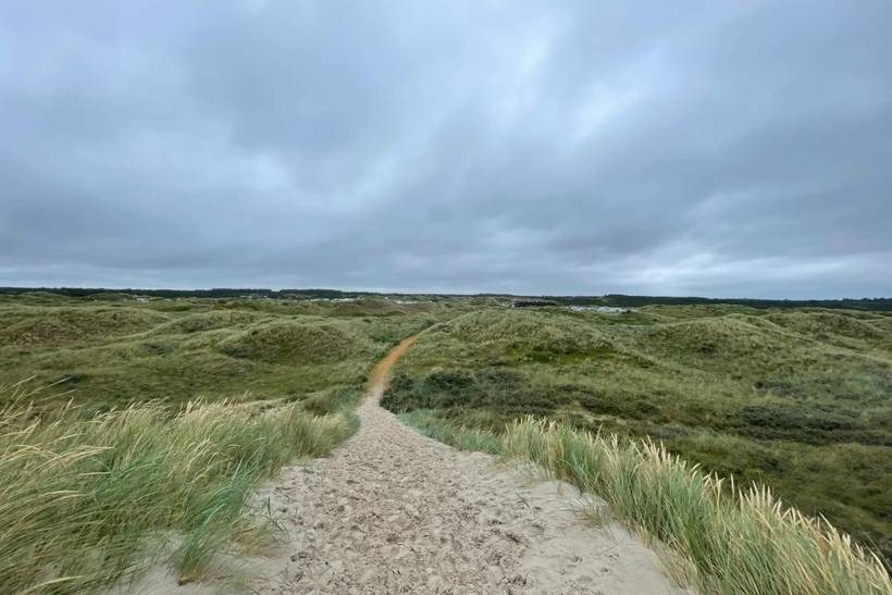 Foto von Ferienhaus VE77 in Vejers Strand - Westjütland