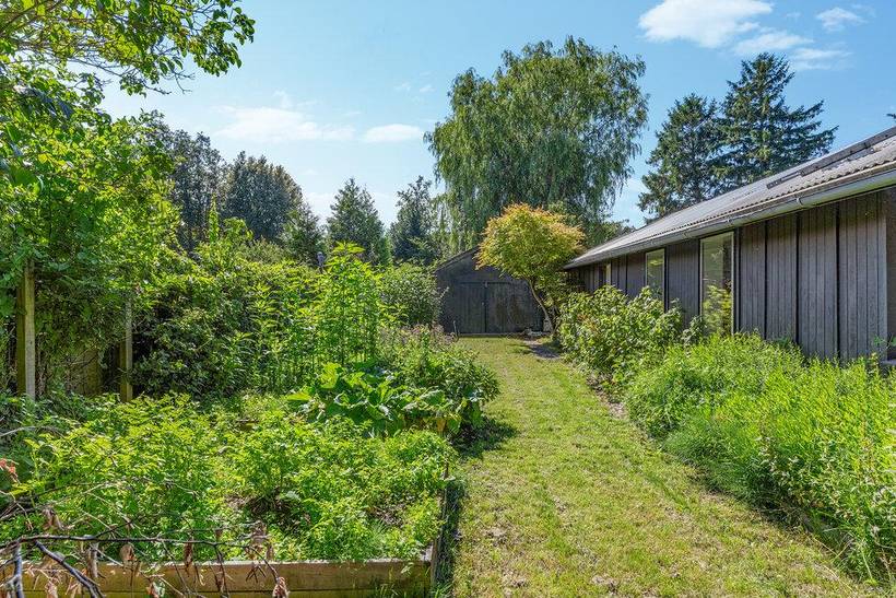 Foto von Ferienhaus VF28 in Rågeleje - Nordseeland
