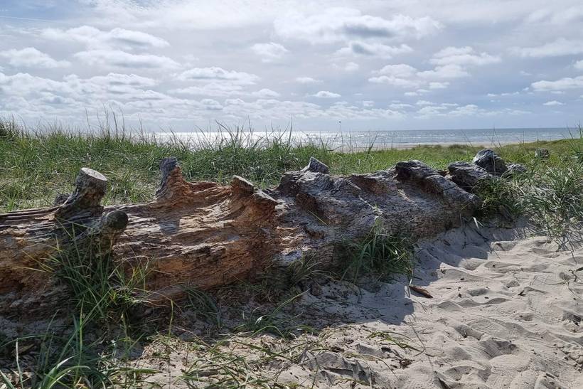 Foto von Ferienhaus VF45 in Blåvand - Westjütland