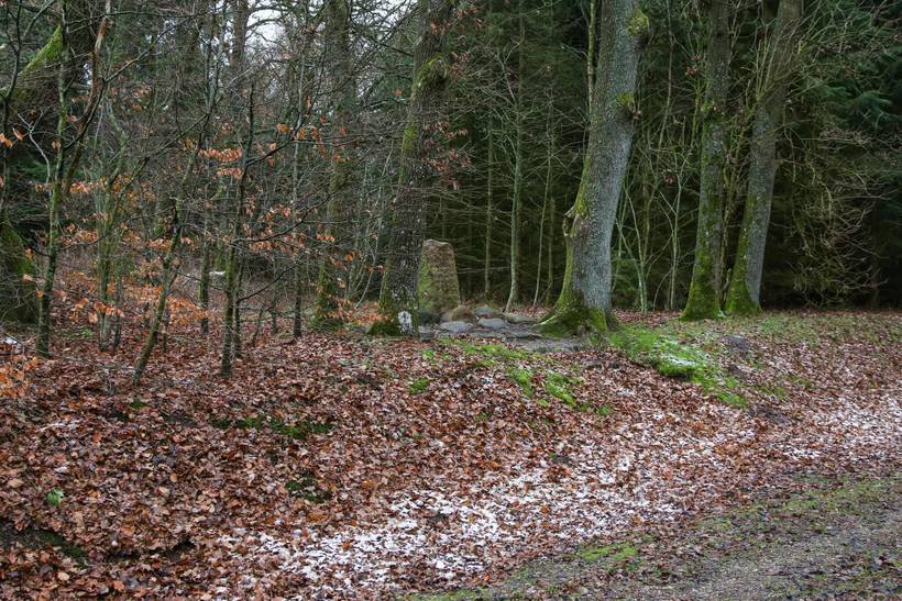Foto von Ferienhaus VG20 in Rørbæk Sø - Ostjütland