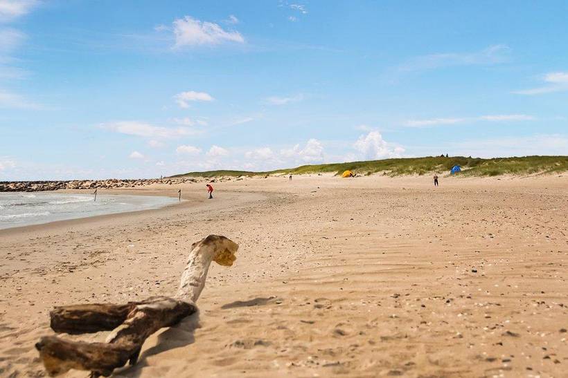 Foto von Ferienhaus VG45 in Blåvand - Westjütland
