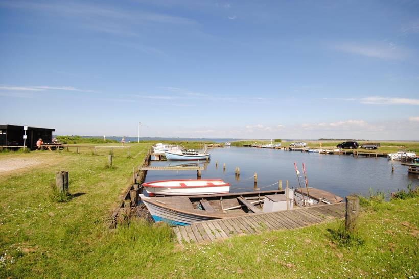 Foto von Ferienhaus VH12 in Lodbjerg Hede - Søndervig - Westjütland