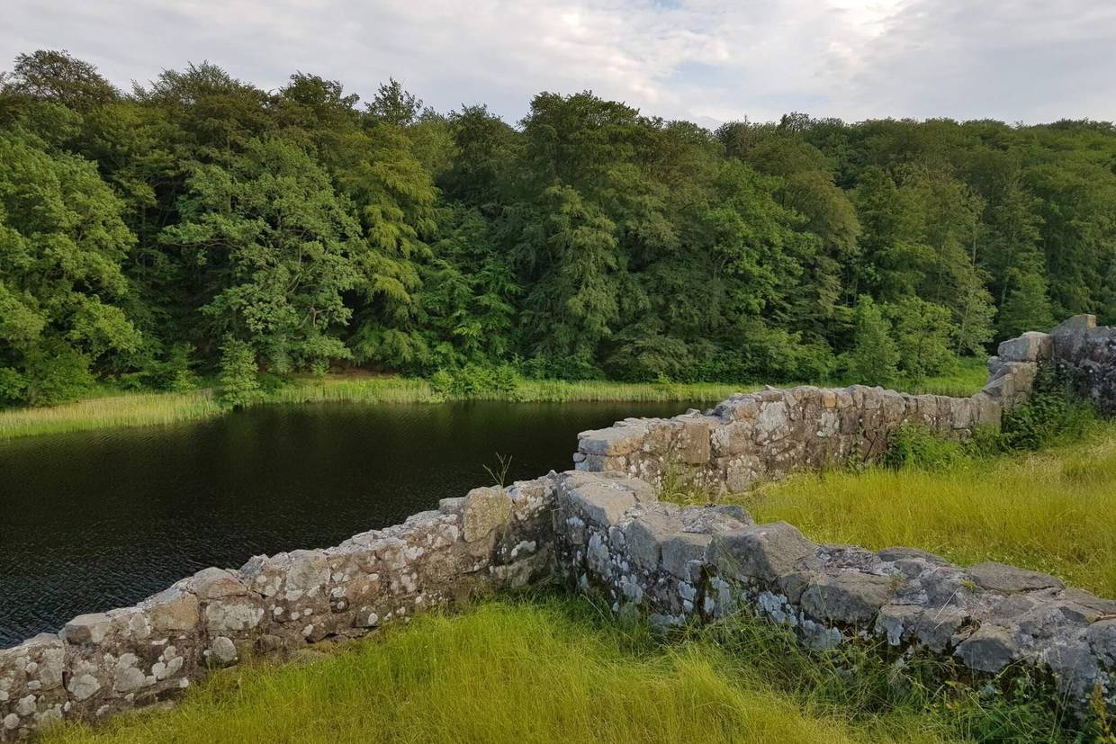 Foto von Ferienhaus VH40 auf Rønne - Bornholm