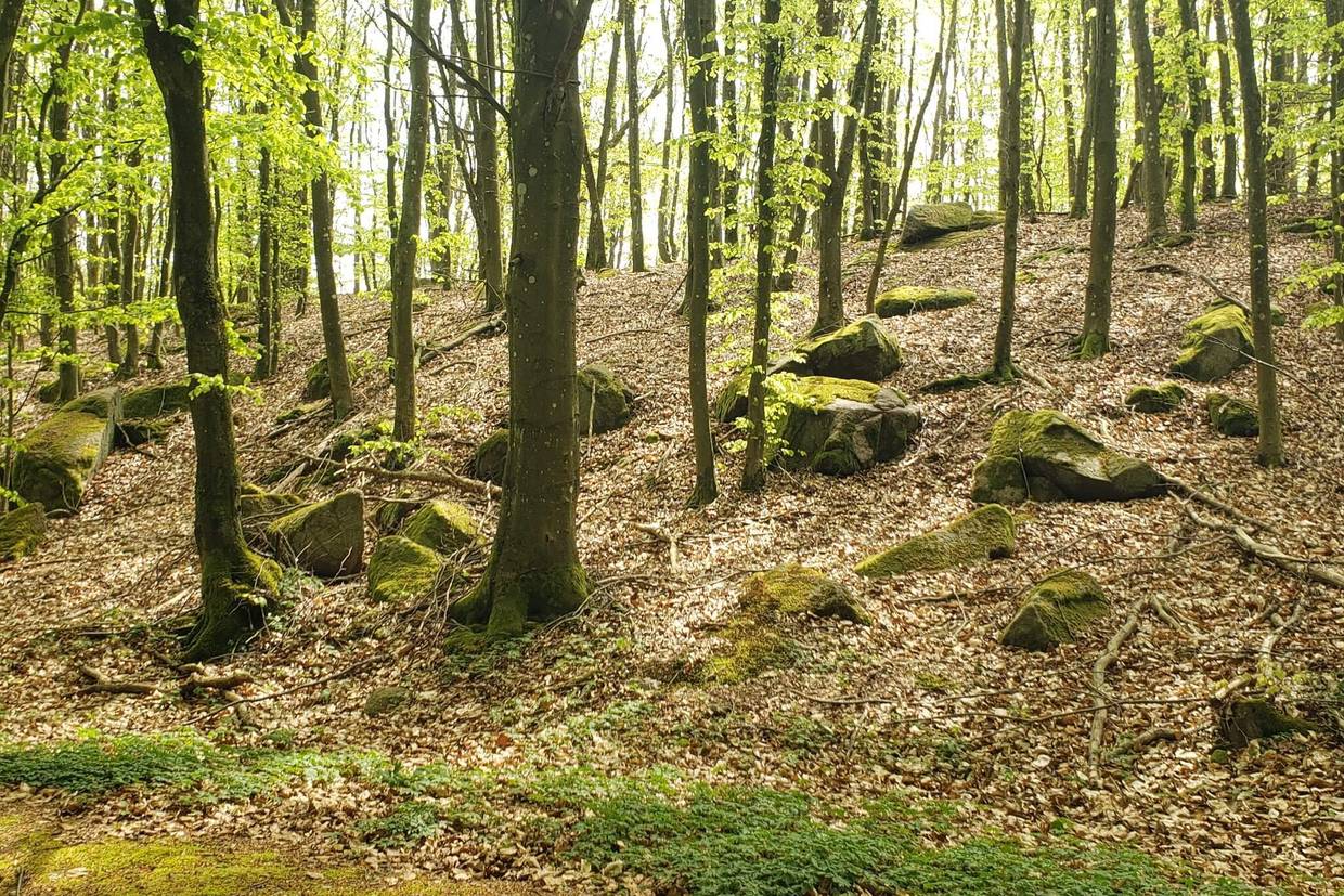 Foto von Ferienhaus VH40 auf Rønne - Bornholm