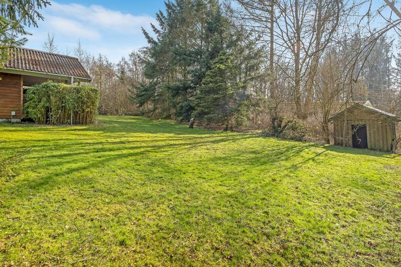 Foto von Ferienhaus VH49 in Vile - Thy/Limfjord