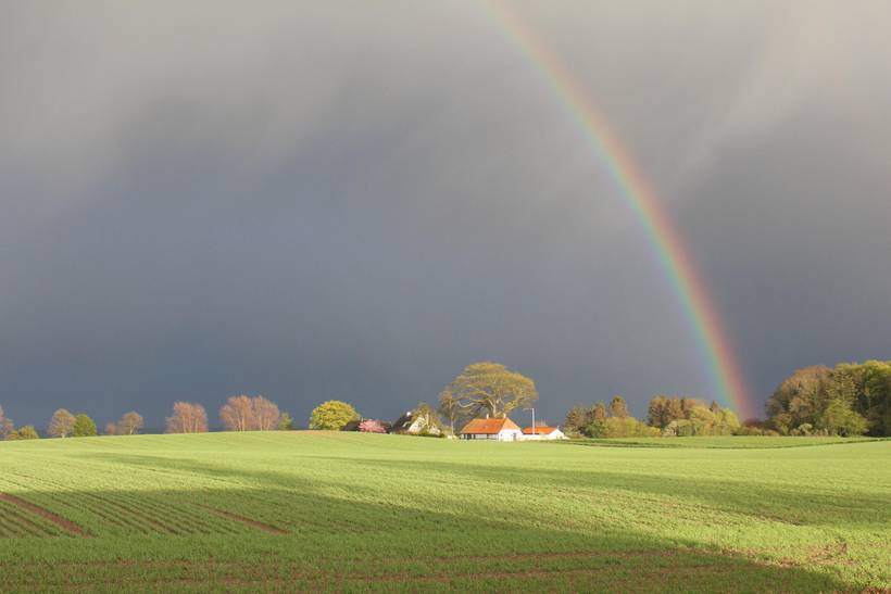 Foto von Ferienhaus VH90 auf Longelse - Langeland