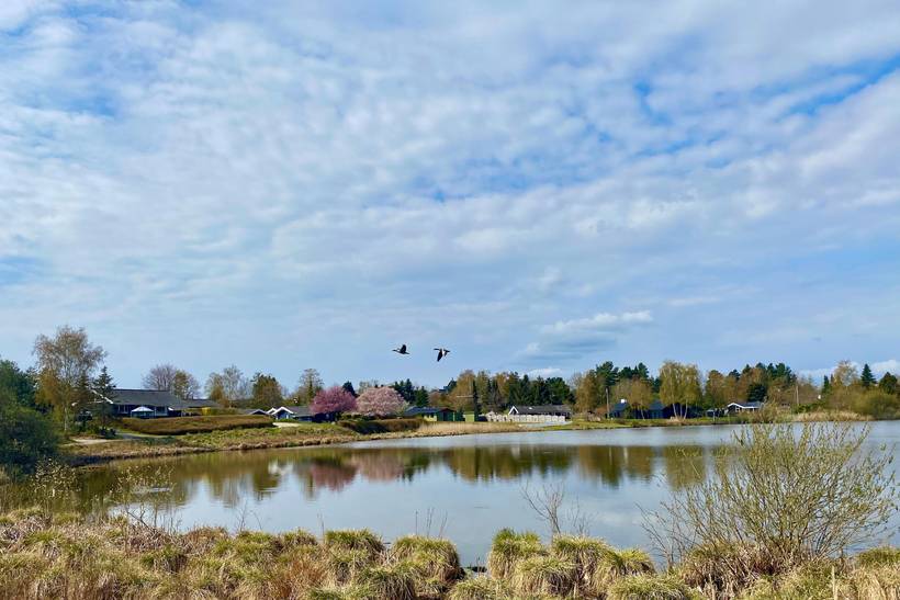 Foto von Ferienhaus VI34 in Ebeltoft - Ostjütland