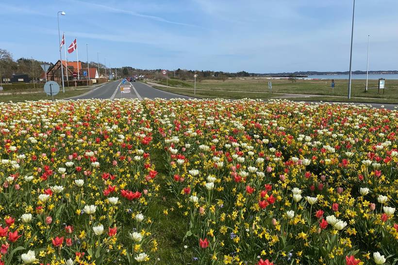 Foto von Ferienhaus VI34 in Ebeltoft - Ostjütland