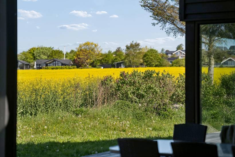 Foto von Ferienhaus VI40 in Dråby - Ebeltoft - Ostjütland