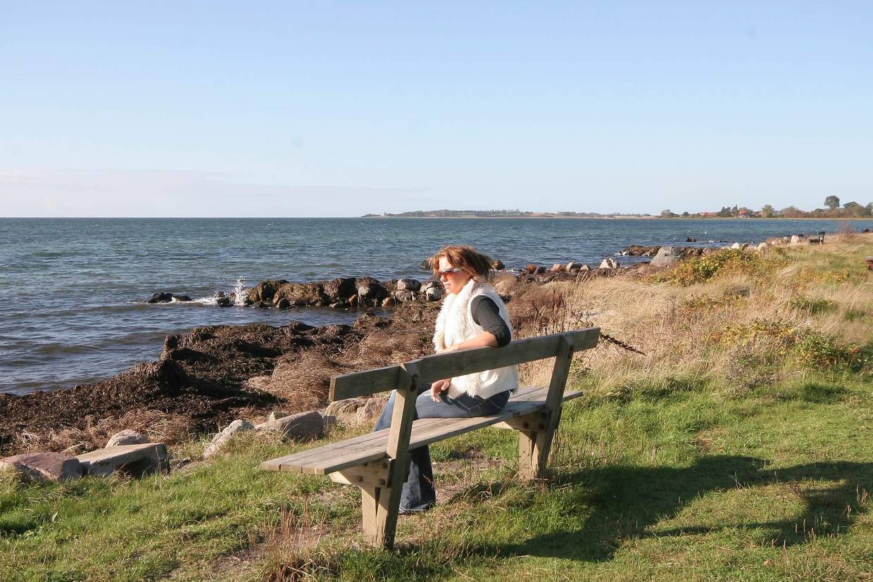Foto von Ferienhaus VI55 auf Bisserup - Südseeland