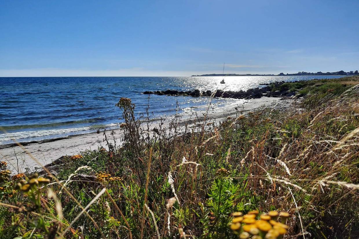 Foto von Ferienhaus VI55 auf Bisserup - Südseeland