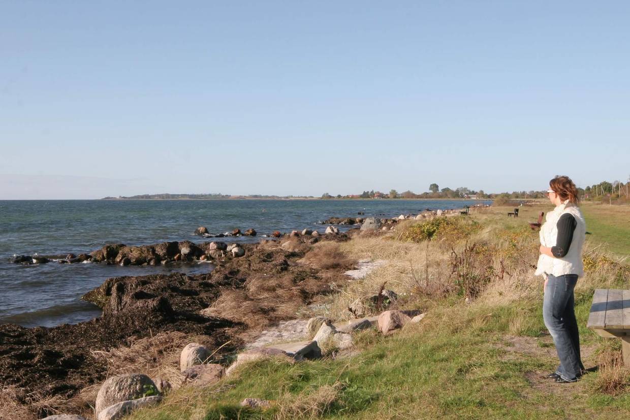 Foto von Ferienhaus VI55 auf Bisserup - Südseeland