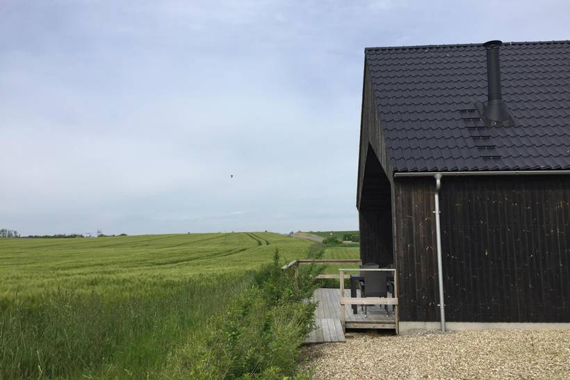 Foto von Ferienhaus VI77 auf Mors - Thy/Limfjord