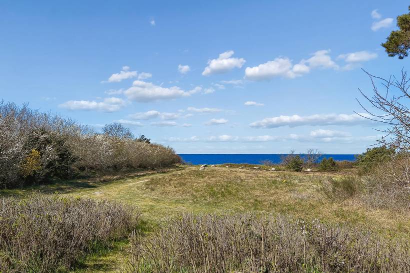 Foto von Ferienhaus VI81 in Hasle - Bornholm