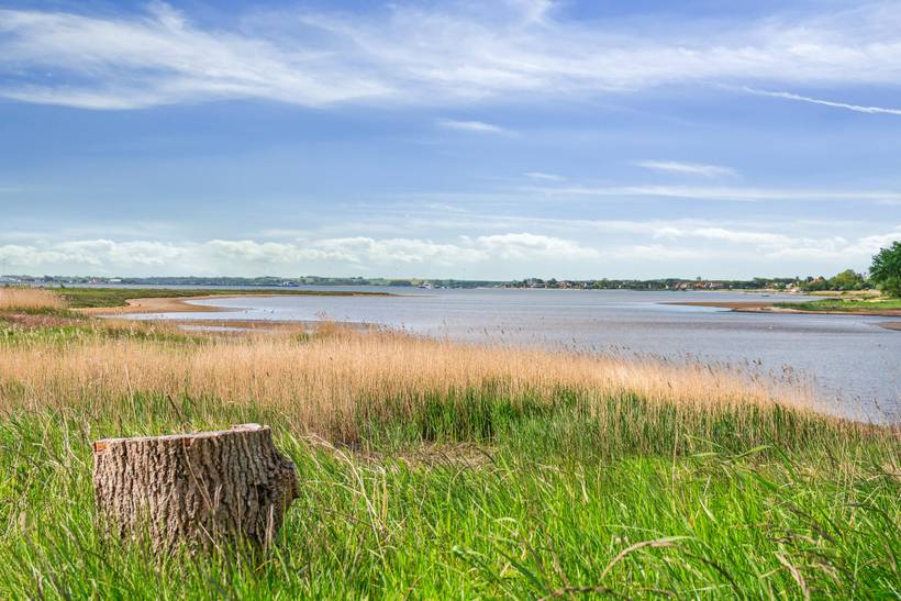 Foto von Ferienhaus VI83 in Fur - Thy/Limfjord