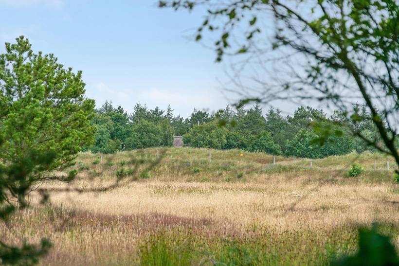 Foto von Ferienhaus VJ00 in Kromose - Rømø
