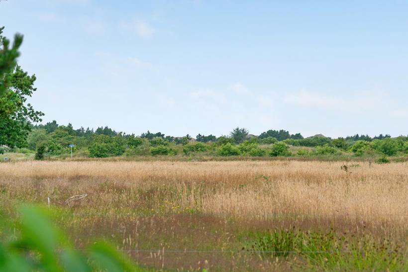 Foto von Ferienhaus VJ00 in Kromose - Rømø