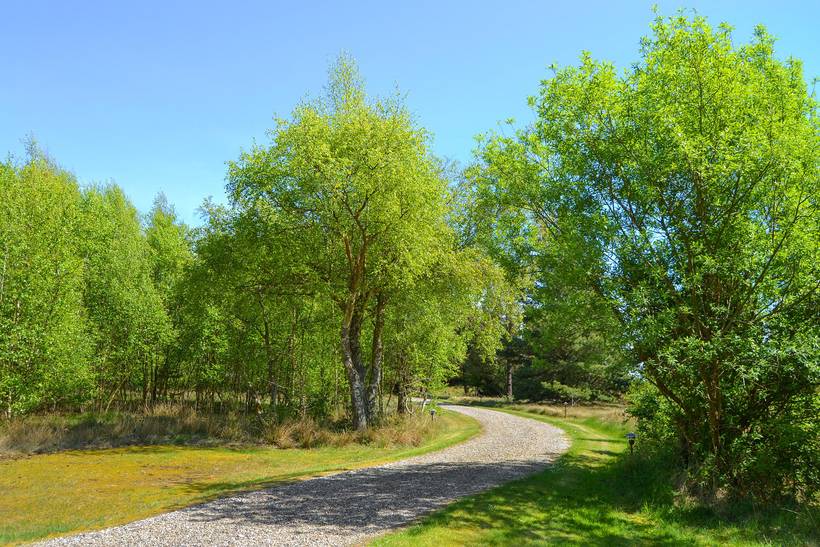 Foto von Ferienhaus VJ00 in Kromose - Rømø