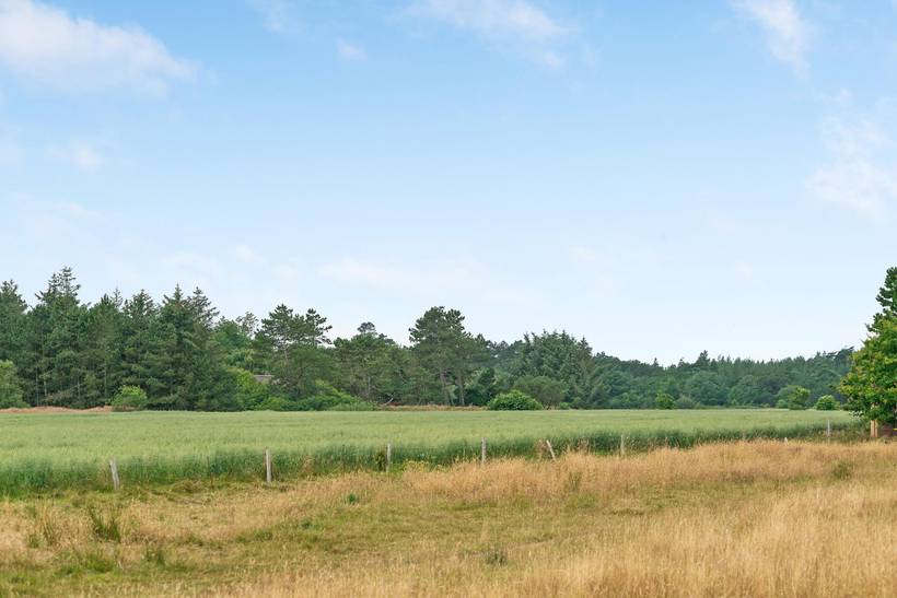 Foto von Ferienhaus VJ00 in Kromose - Rømø