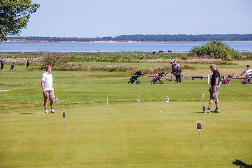 Foto von Ferienhaus VJ41 in Blåvand - Westjütland