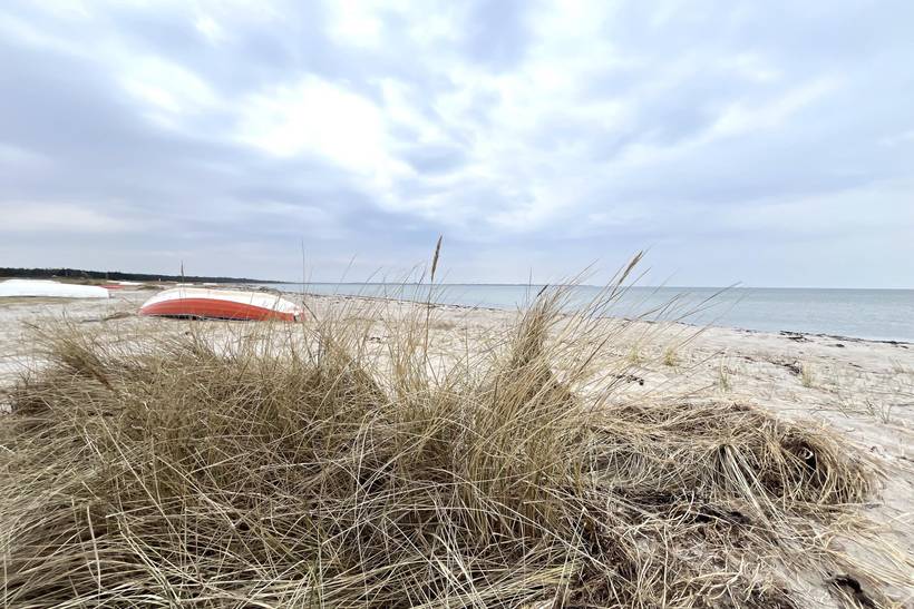 Foto von Ferienhaus VJ57 in Bjerge - Westseeland