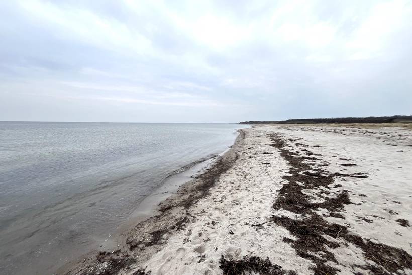 Foto von Ferienhaus VJ57 in Bjerge - Westseeland
